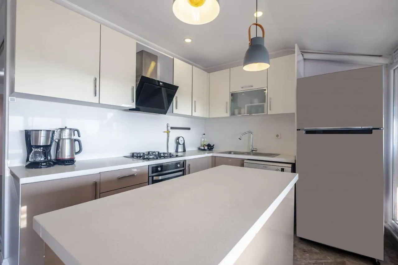 Sleek Flat Near Public Transportation In Maltepe Apartment Istanbul 0*,  Turkey
